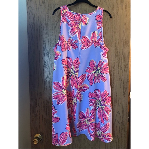 ❌SOLD❌💕Lilly Pulitzer Molly Haynes Dress💕 - Picture 3 of 5